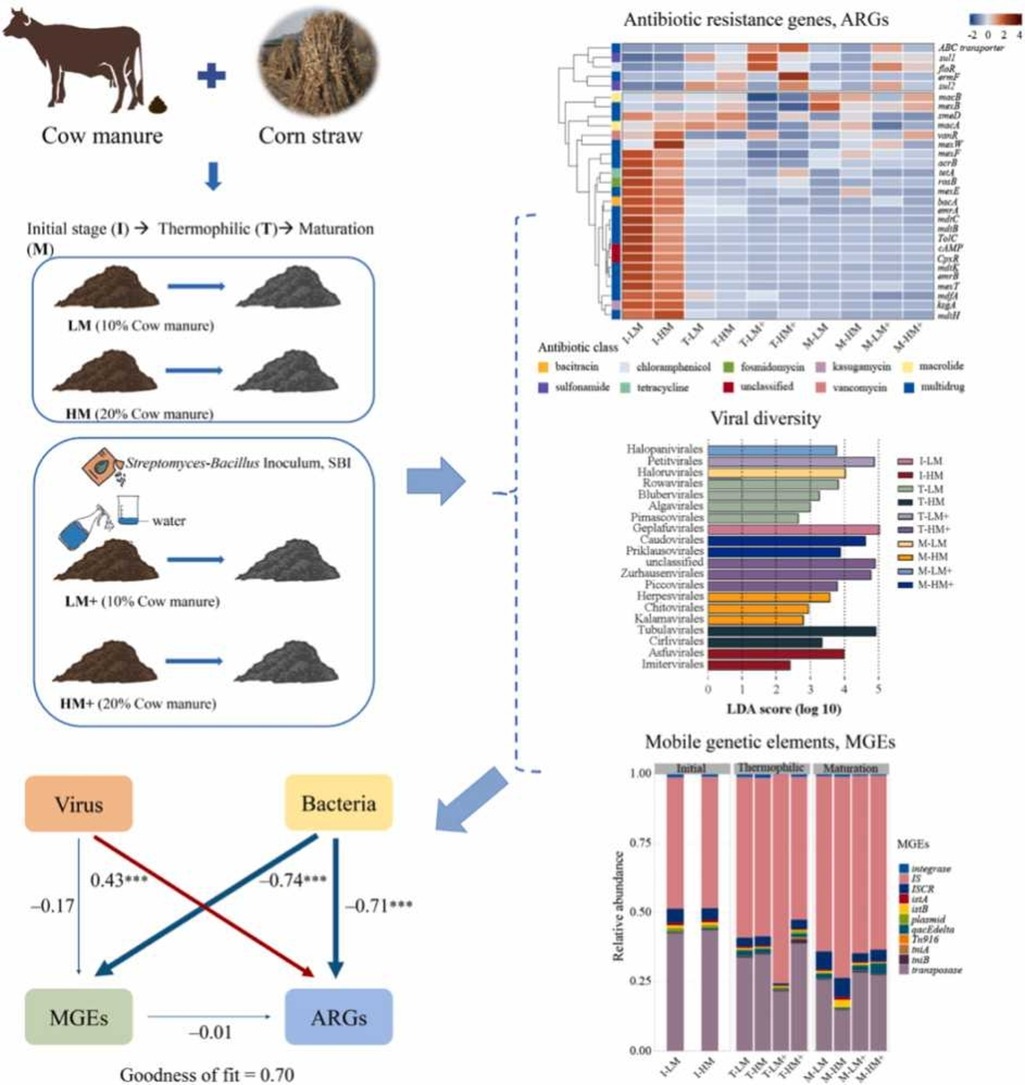 接种菌剂促进堆肥中微生物（细菌、病毒）群落结构变化和抗性基因消减